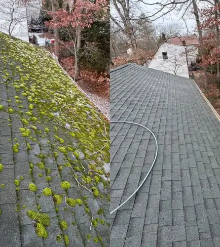 Before After: Roof Cleaning Services with A2 Soft Washing