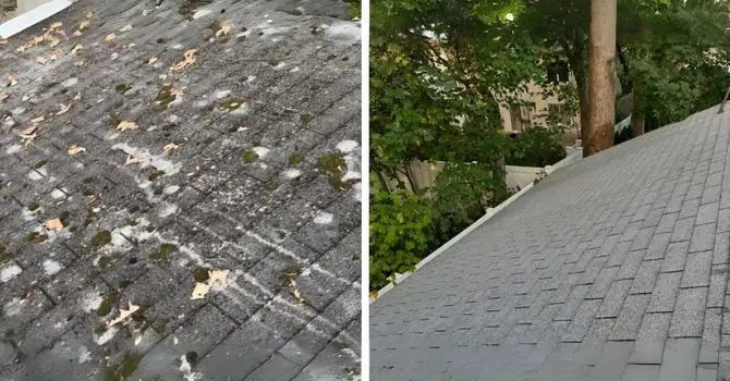 Before After: Roof Washing Services
